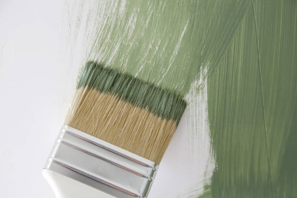 Best Basement Mold Removal  in Bevil Oaks, TX