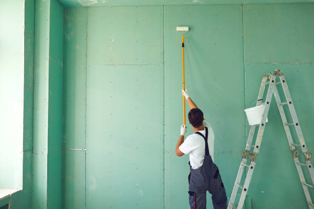 Best Mold Damage Restoration  in Bevil Oaks, TX
