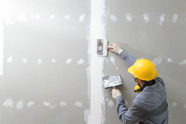 Asbestos and Lead Testing During Mold Inspection in Bevil Oaks, TX