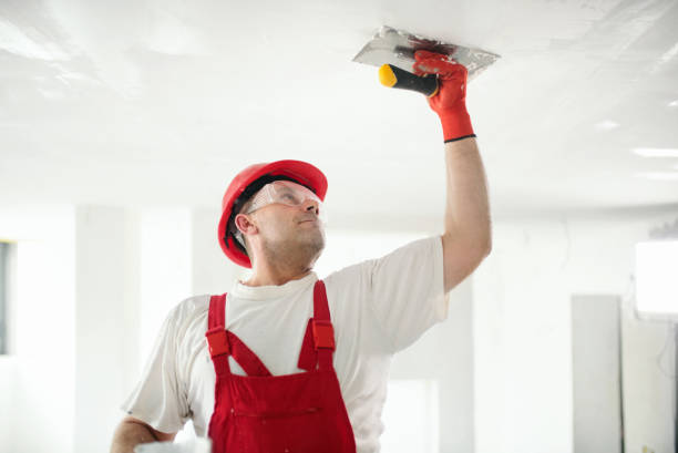 Best Mold Removal for HVAC Installations  in Bevil Oaks, TX