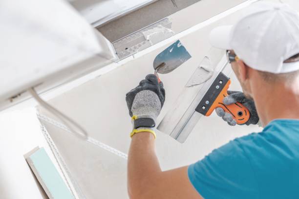 Bevil Oaks, TX Mold Removal Company
